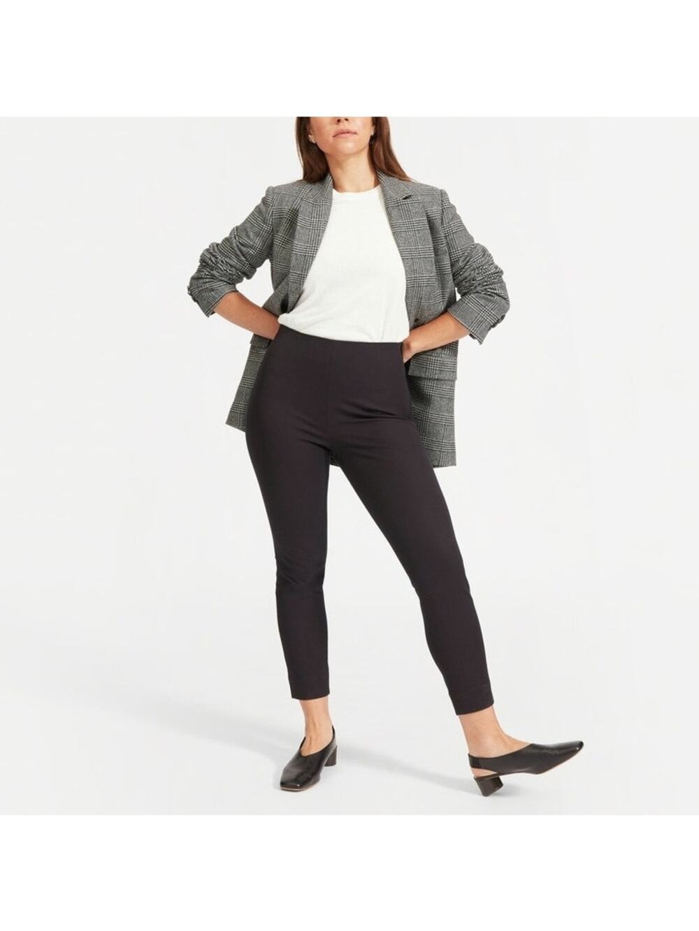 NWT Everlane Curvy Side-Zip Work Pant